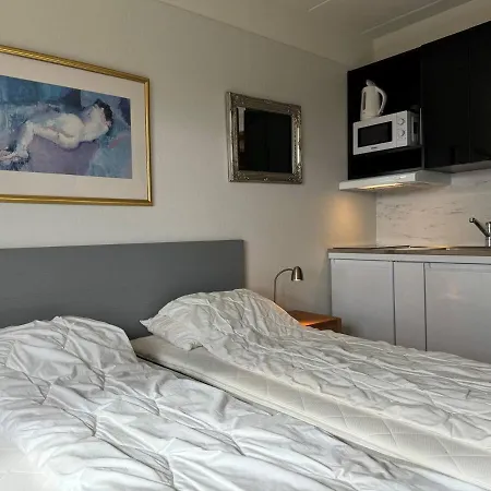 Bitihorn Hotellfolelse I Sentrum * Beitostolen